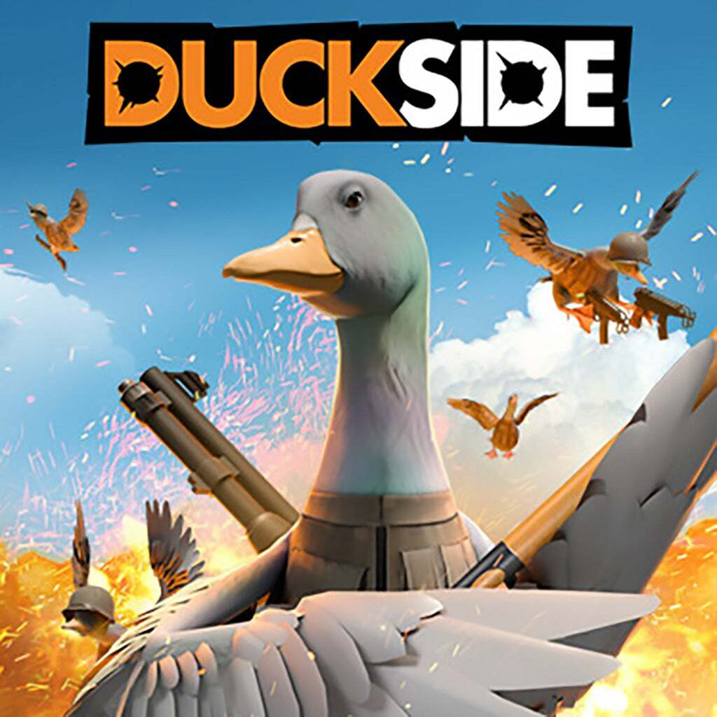 DUCKSIDE